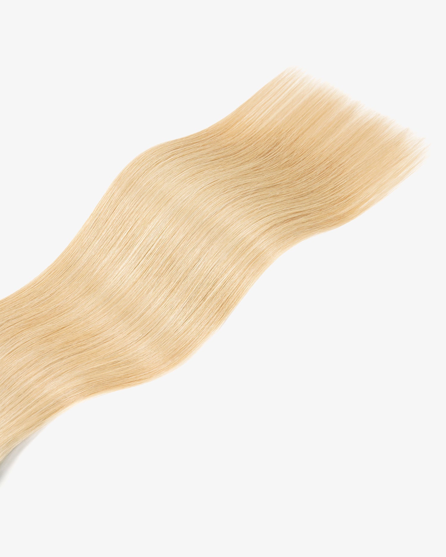 Honey_Blonde_with_Platinum_Blonde_F27.613