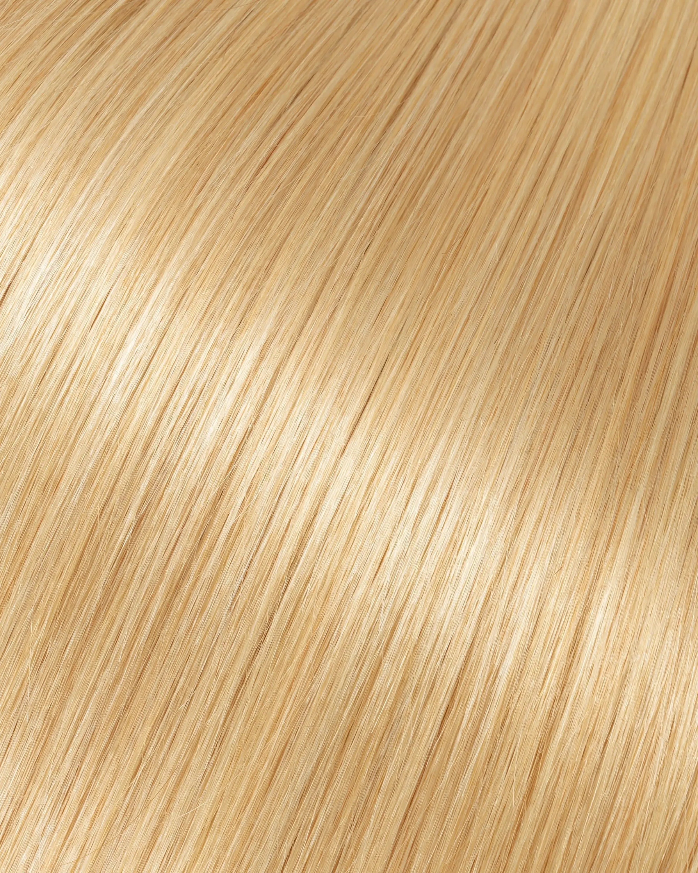 Tape-In Hair Extensions Honey Blonde with Platinum Blonde #27/613 - Morado Hair