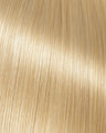 Honey Blonde with Platinum Blonde P27_613